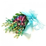 MIX ORCHIDS