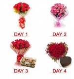 4 Day Serenades Surprise V