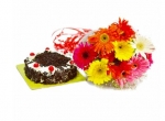 10 Mix Gerbera With Black Forest Cake