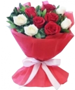12 Red and White Roses