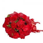 Deep-set Red Carnations