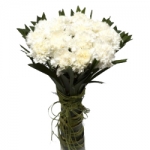 20 White Carnations