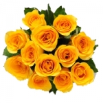 1 Dozen Yellow Roses