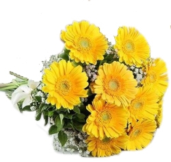 Yellow Gerbera
