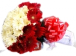 Best Wishes Mix Gerbera Flowers