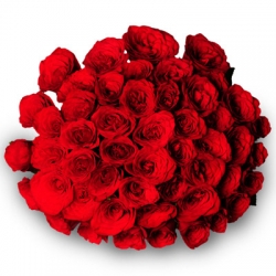Say It With Flowers 40 Red Roses