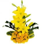 Yellow Delight