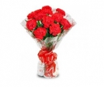RED CARNATIONS