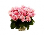 PINK ROSES