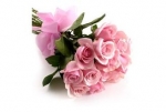 12 Pink Roses