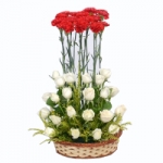Red & White 25 Roses 15 Carnations