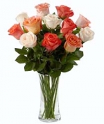 12 Friendship Roses
