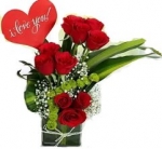Roses Love