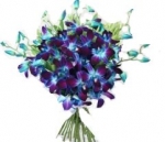 Beautiful 6 Blue Orchids