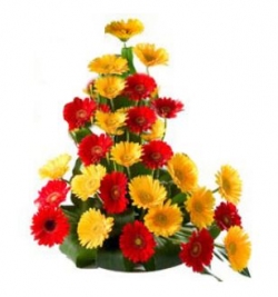 30 Red and Yellow Colour Gerberas Basket