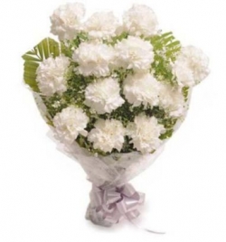 Good Luck White Carnation