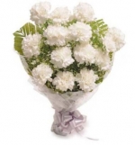 Good Luck White Carnation