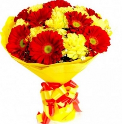 15 Red And Yellow Gerbera