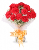 15 Red Carnation