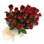 20 Red Roses