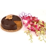6 Orchids Stem with Half Kg Chocolate Cake