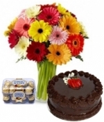 Brilliant Colors 20 Gerberas 1/2 Kg Chocolate Cake & 16 Pcs Ferrero Rocher Box