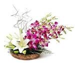 Lilies And Orchids Basket Arrangement