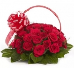 Graceful Roses