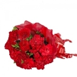 Gallant Red Carnation Bouquet