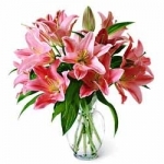 Pink Shine Love