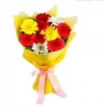 Vivid 10 Gerbera