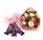 Fragrant Freesia