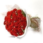 Beauty Of Red
