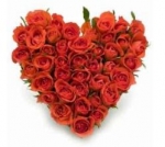 Lucky In Love