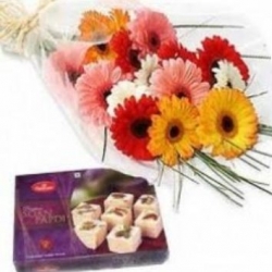 Gerbera N Soan Papri