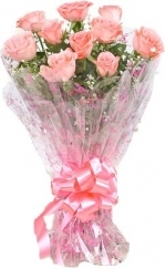 Pink Elan