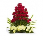 Red And Bright