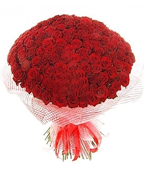 Pure romance 100 Roses