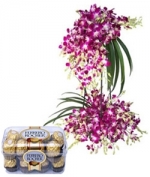 Pure Orchids