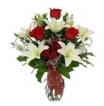 Freshness of Lilies