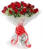 Vivid 20 Red Roses