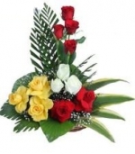 Love Rosa