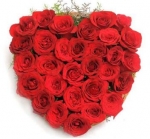 The Blooming Love