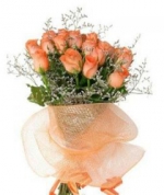 15 Orange Delight Roses