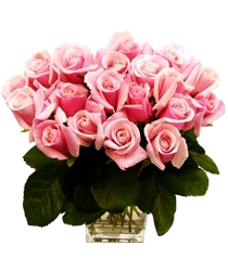 20 Gorgeous Pink Roses