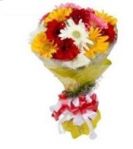 15 Mix Colour Gerbera