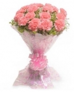Sizzling Pink Carnation