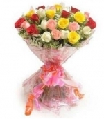 50 Multicolour Roses