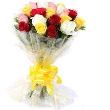 15 Multicolour Roses