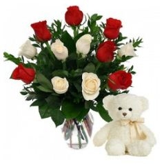 12 Red White Roses With Teddy